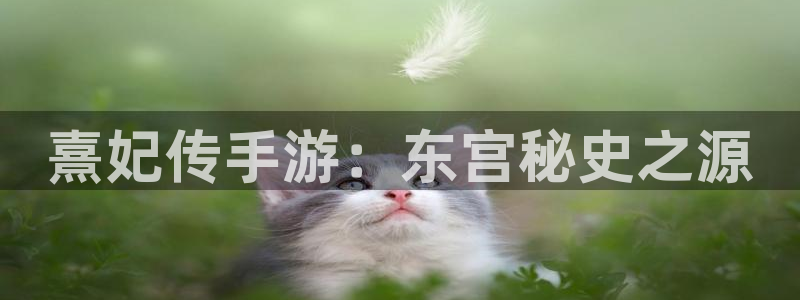 长运娱乐官网最新版苹果版下载：熹妃传手游：东宫秘史之源