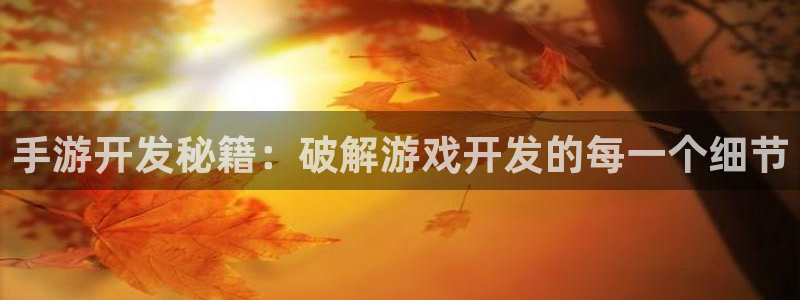长运娱乐官网开奖网站：手游开发秘籍：破解游戏开发的每一个细节
