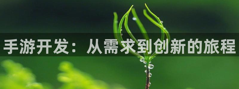 长运娱乐官网苹果怎么下载：手游开发：从需求到创新的旅程