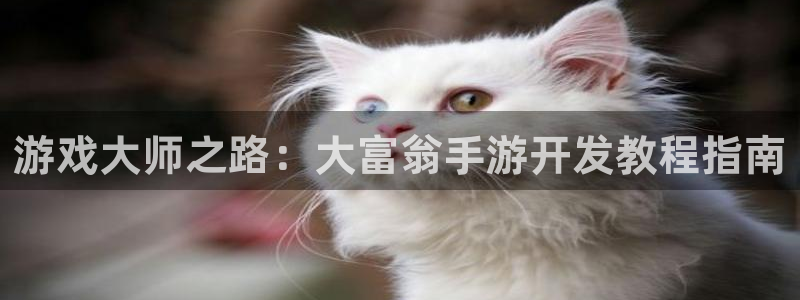 长运娱乐官网官方下载ios：游戏大师之路：大富翁手游开发教程