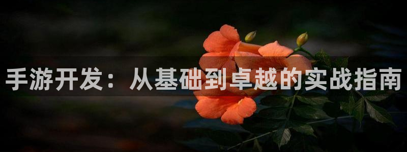 长运娱乐官网预测神测网：手游开发：从基础到卓越的实战指南