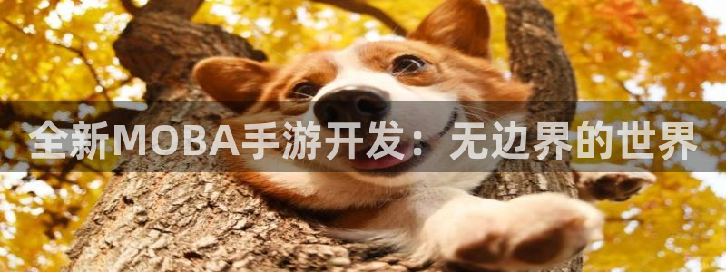 长运娱乐官网苹果在线安装：全新MOBA手游开发：无边界的世界
