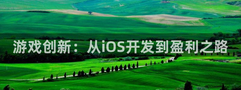 长运娱乐官网加拿大开奖历史预测：游戏创新：从iOS开发到盈利