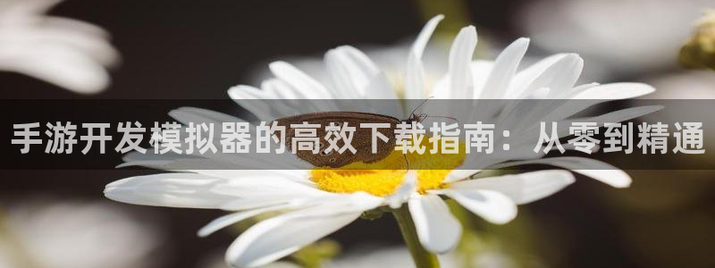 长运娱乐官网在线开奖：手游开发模拟器的高效下载指南：从零到精