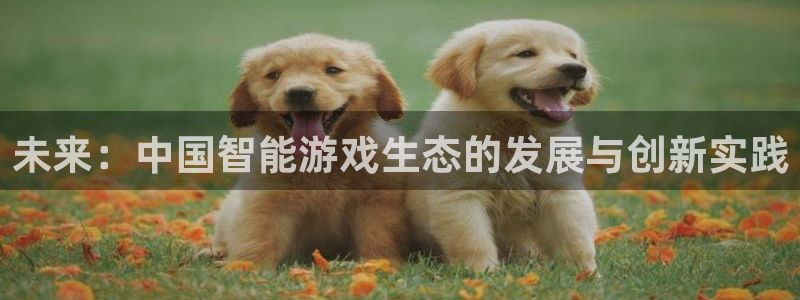 长运娱乐官网加拿大开奖：未来：中国智能游戏生态的发展与创新实