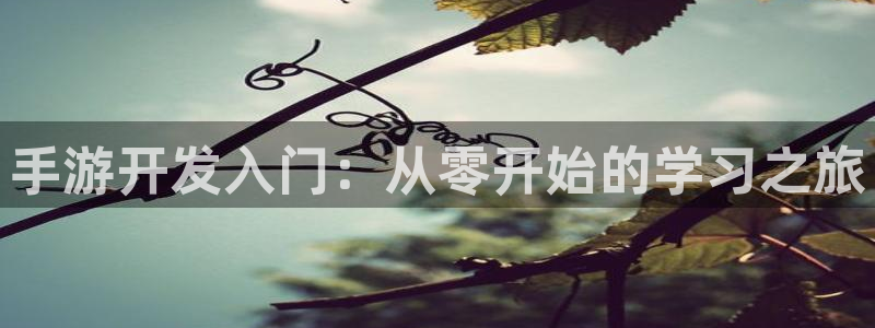 长运娱乐官网预测在线预测专业28：手游开发入门：从零开始的学