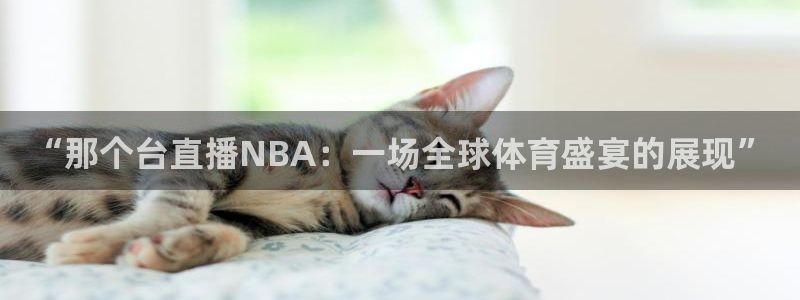 919球赛直播：“那个台直播NBA：一场全球体育盛宴的展现”