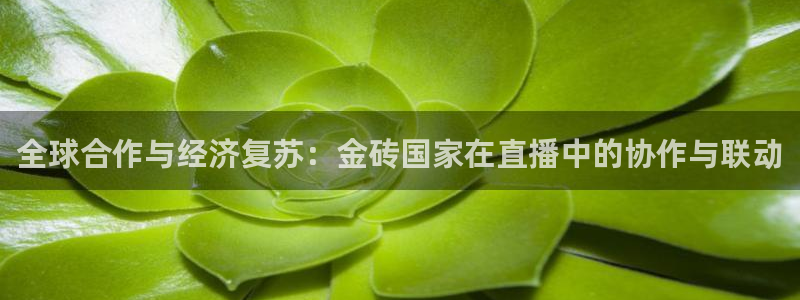 919看球直播app：全球合作与经济复苏：金砖国家在直播中的协作与联动