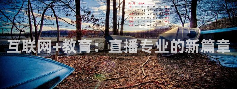 919直播在线看球：互联网+教育：直播专业的新篇章