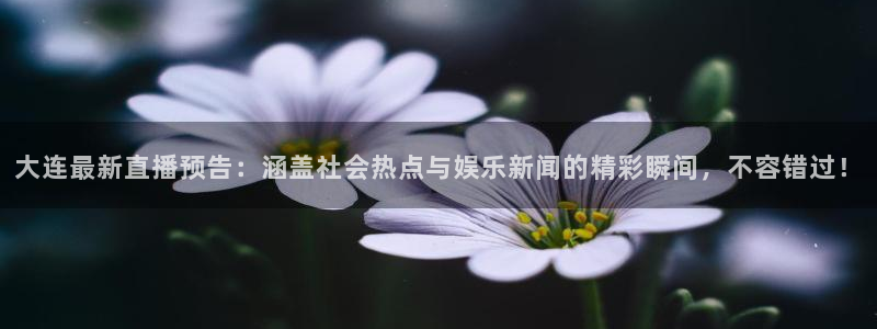 nba直播919：大连最新直播预告：涵盖社会热点与娱乐新闻的精彩瞬间，不容错过！