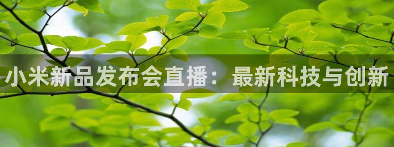 919直播间官网：小米新品发布会直播：最新科技与创新