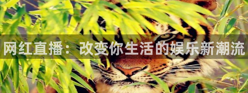 919直播足球：网红直播：改变你生活的娱乐新潮流