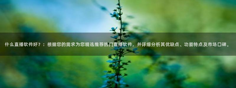 919看足球直播：什么直播软件好？：根据您的需求为您精选推荐热门直播软件，并详细分析其优缺点、功能特点及市场口碑。