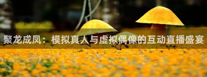 919体育直播间在线看：聚龙成凤：模拟真人与虚拟偶像的互动直播盛宴