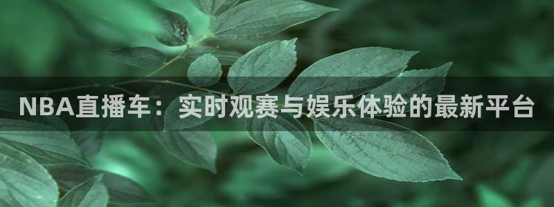 919直播看球下载：NBA直播车：实时观赛与娱乐体验的最新平台
