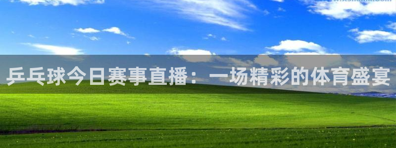 919篮球直播：乒乓球今日赛事直播：一场精彩的体育盛宴