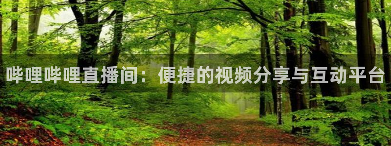 919球赛直播：哔哩哔哩直播间：便捷的视频分享与互动平台