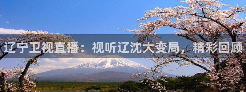 919直播看球在线观看：辽宁卫视直播：视听辽沈大变局，精彩回顾