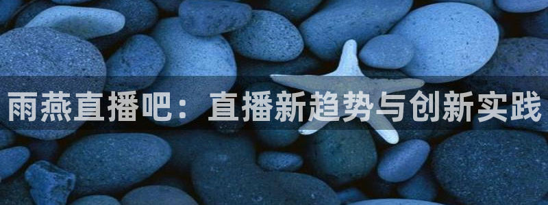 nba直播919：雨燕直播吧：直播新趋势与创新实践