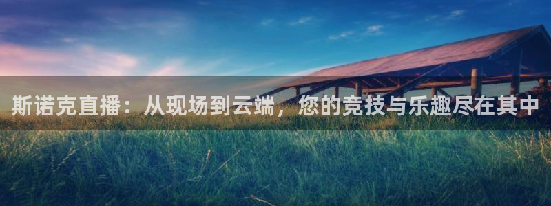 919直播体育在线直播在线看：斯诺克直播：从现场到云端，您的竞技与乐趣尽在其中