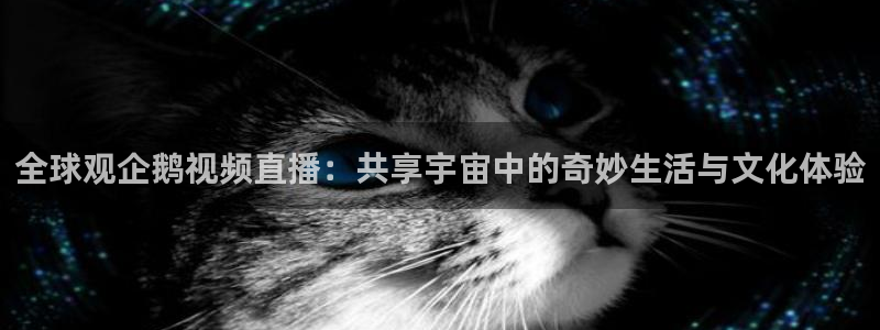 体育直播919：全球观企鹅视频直播：共享宇宙中的奇妙生活与文化体验